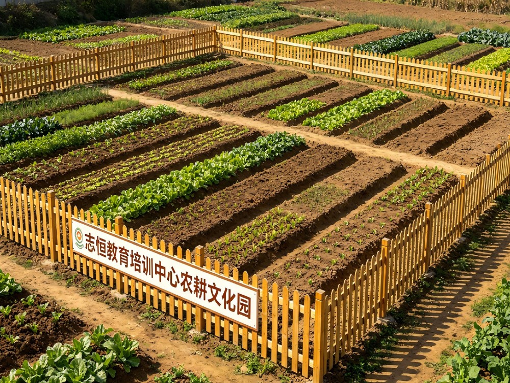 盐城靠谱的叛逆孩子改变学校怎么选:志恒教育培训学校深度解析